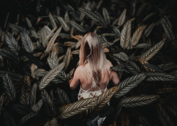 The Night Comes For Us – Official Trailer [HD]