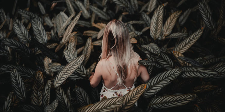 The Night Comes For Us – Official Trailer [HD]