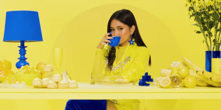 NIKI – lowkey (Official Visualizer Music Video)